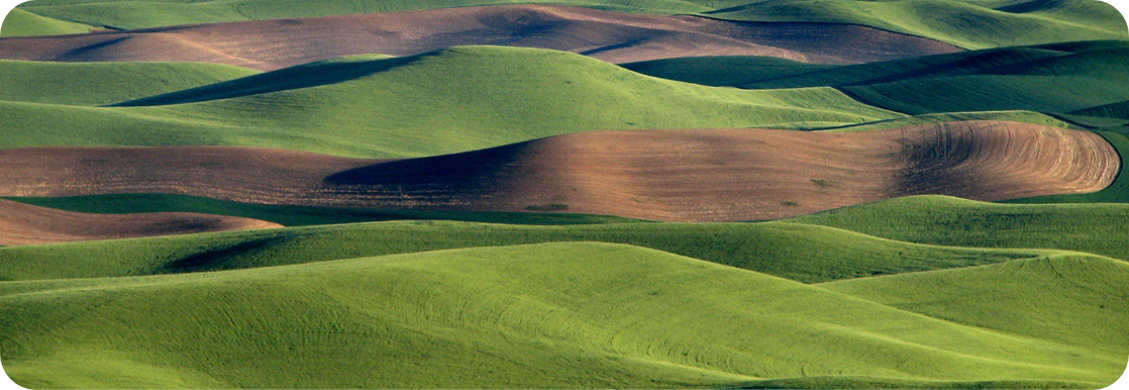 Agricultural research landscape